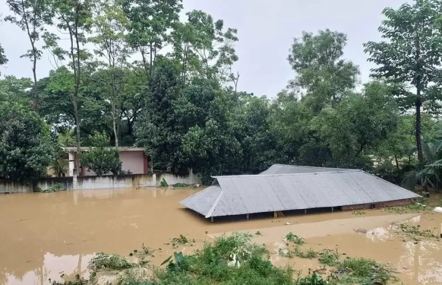 Officials of information, telecom ministries to donate one-day salary for flood victims