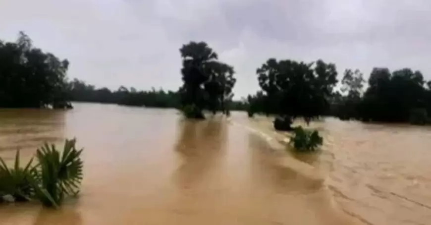 Flood situation deteriorates in Lakshmipur