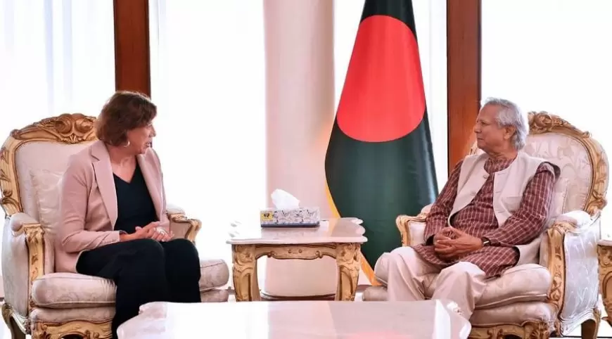 "Netherlands to Support Bangladesh's Interim Govt: Envoy"