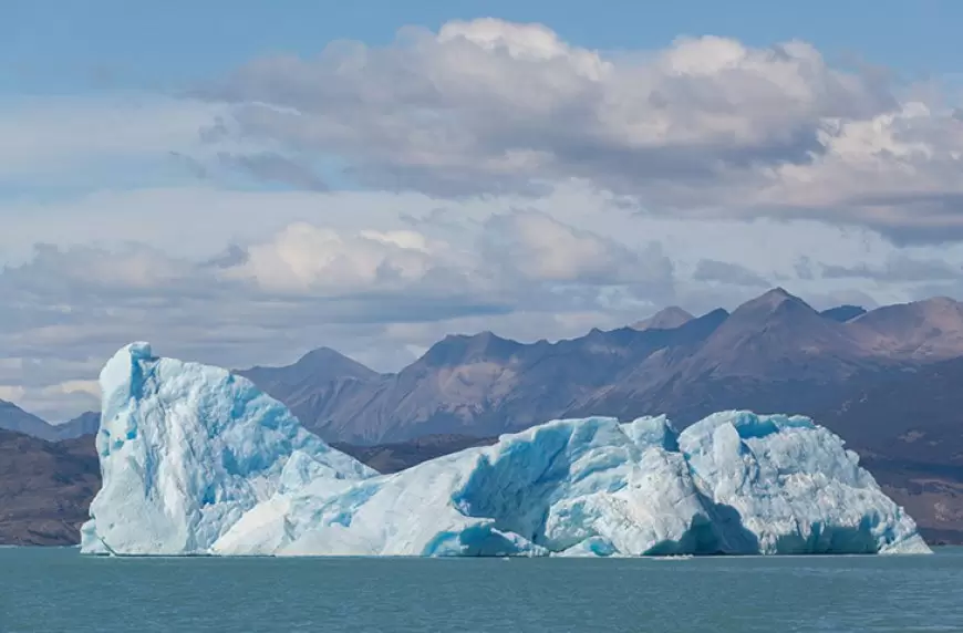 Melting Poles: A Harbinger of Climate Change