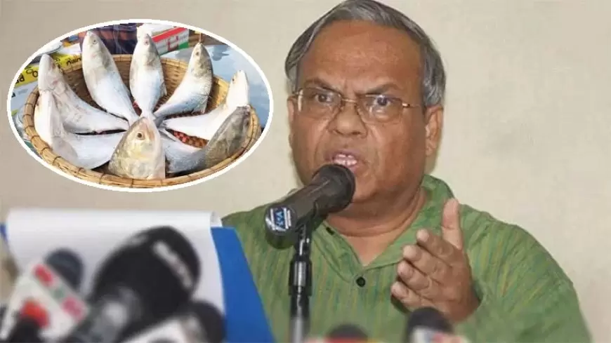 Rizvi Fumes Over Hilsa Exports to India, Calls for Prioritizing Domestic Needs