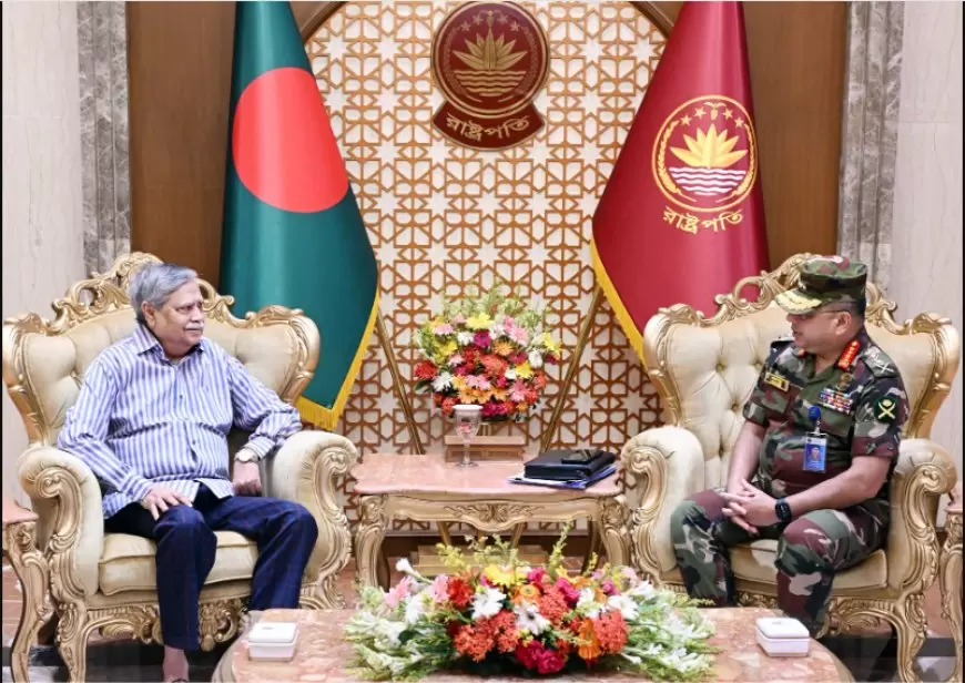 Army chief pays courtesy call on president