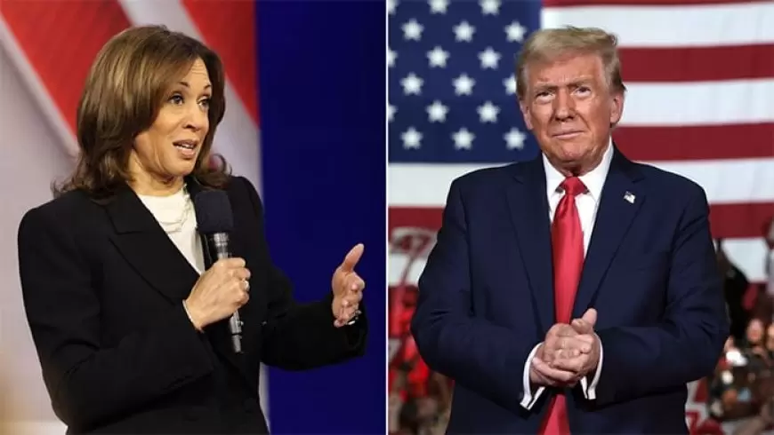 Trump, Harris lean on traditional bases eight days before US vote