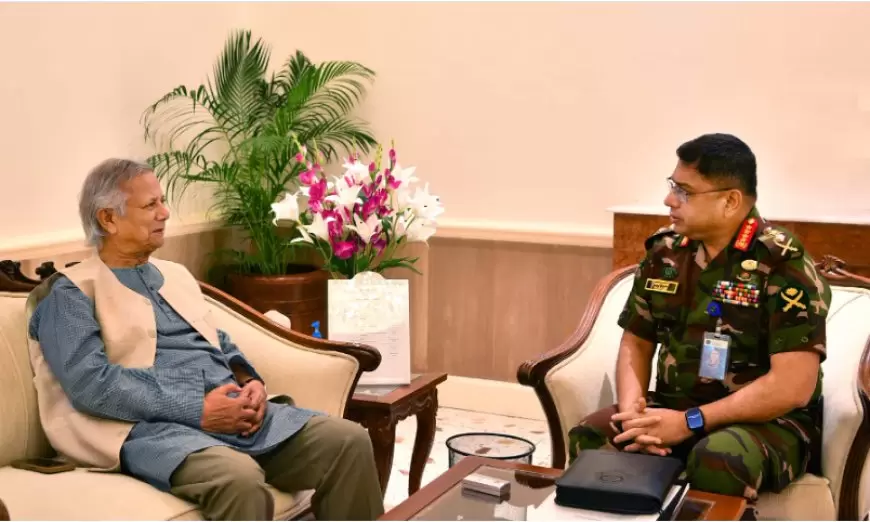 Army Chief meets Chief Adviser