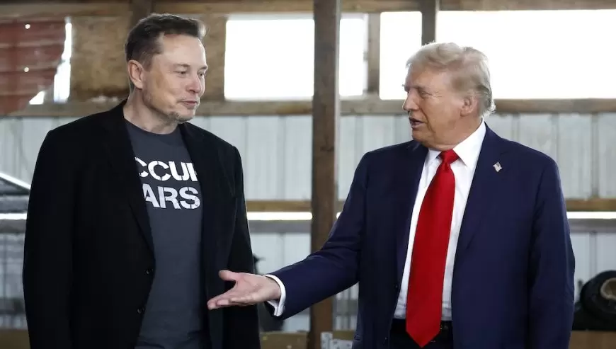 Trump Appoints Elon Musk to Lead New 'Government Efficiency' Department