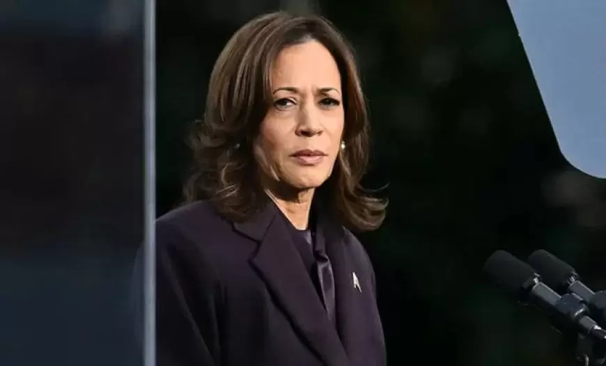 Kamala's coda: What's next for defeated US VP Harris?