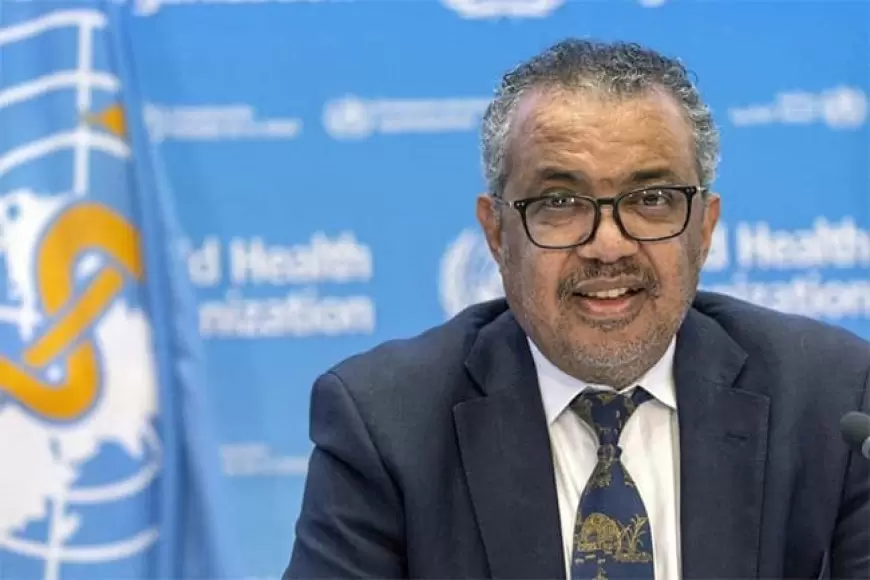 'End in sight' to talks on pandemic treaty, says WHO chief