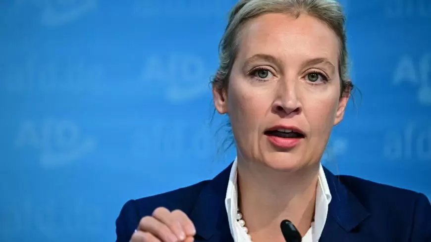 Alice Weidel, German far right's unlikely hope for chancellor